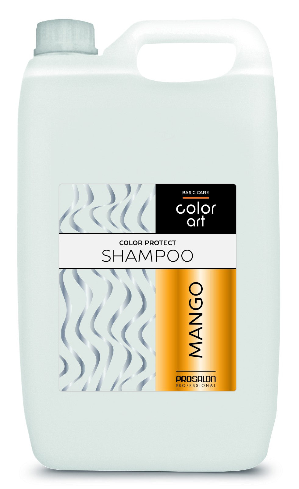 PROSALON PROFESSIONAL Basic Care Color Art Color-protecting hair shampoo - Mango 5000ml | Vaistine1.lt | WestPharmacy.eu