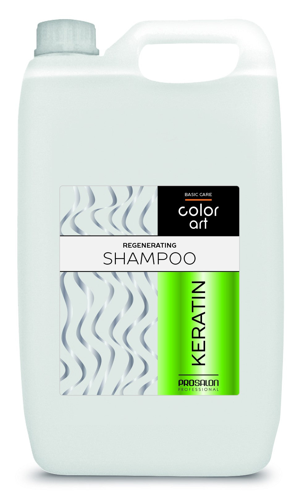PROSALON PROFESSIONAL Basic Care Color Art Regenerating Hair Shampoo - Keratine 5000ml | Vaistine1.lt | WestPharmacy.eu