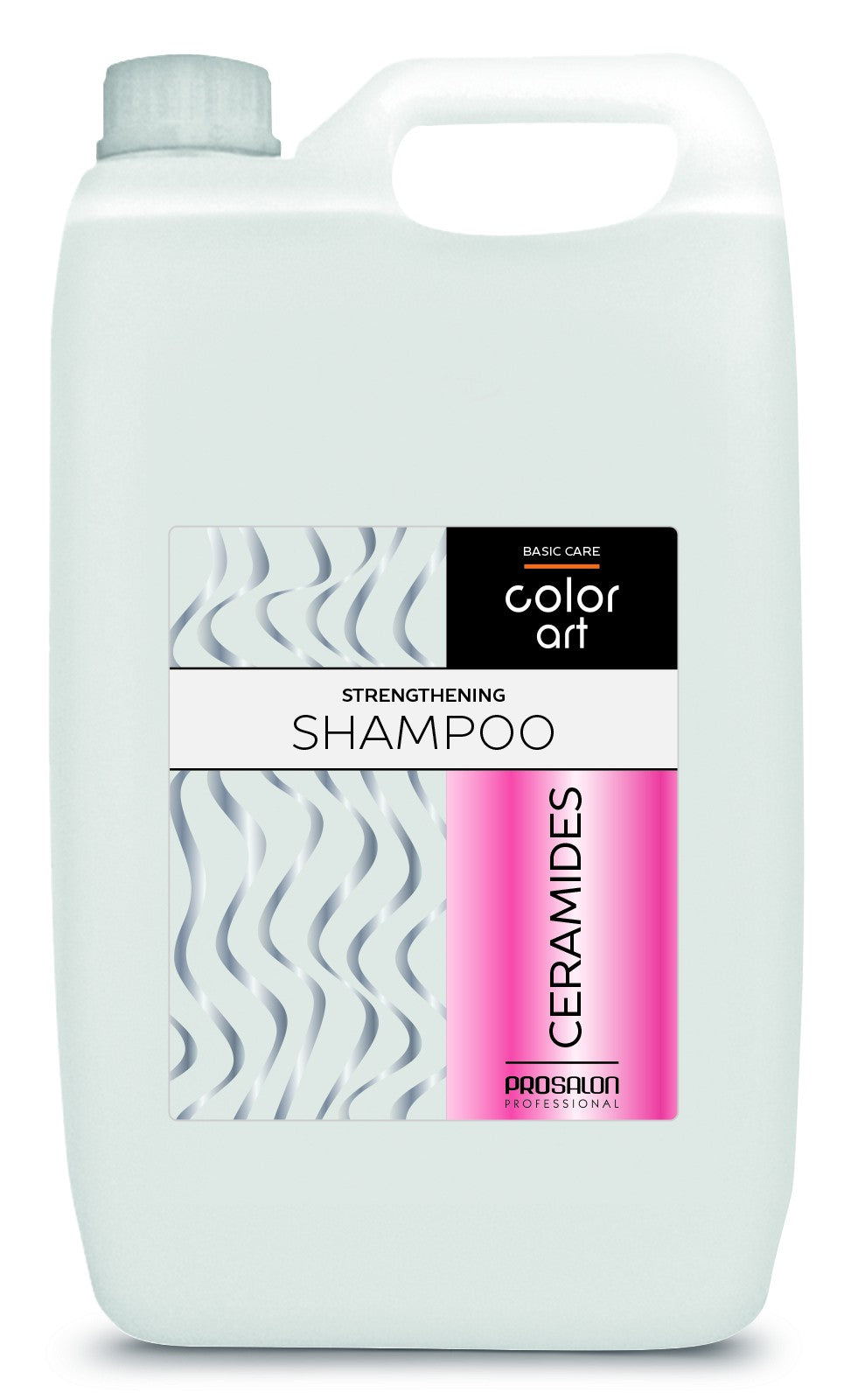 PROSALON PROFESSIONAL Basic Care Color Art Strengthening Hair Shampoo - Ceramides 5000ml | Vaistine1.lt | WestPharmacy.eu
