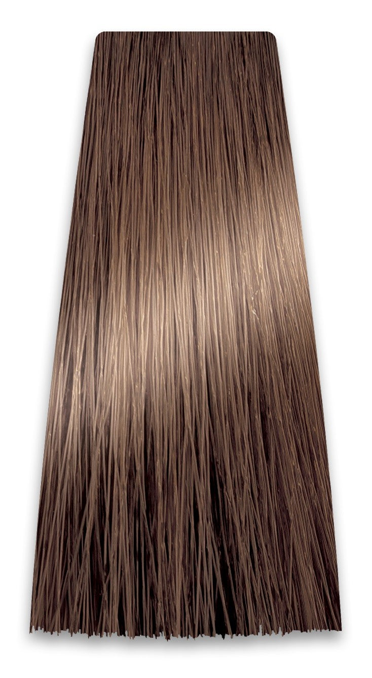 PROSALON PROFESSIONAL Intensis Color Art Professional Hair Dye No. 6.0 Dark Blonde 100g | Vaistine1.lt | WestPharmacy.eu
