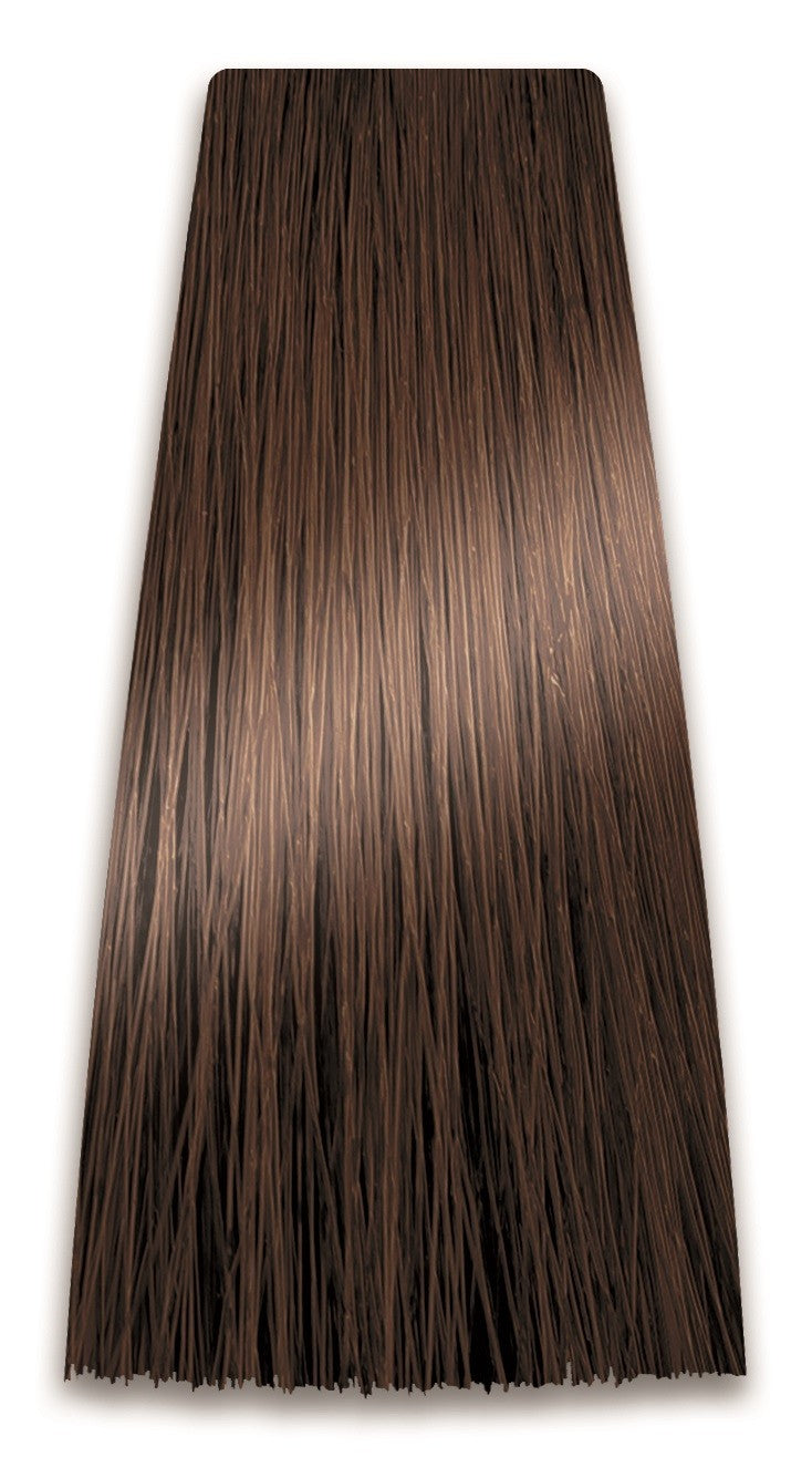 PROSALON PROFESSIONAL Intensis Color Art Professional Hair Dye No. 6.00 Double Dark Blonde 100g | Vaistine1.lt | WestPharmacy.eu