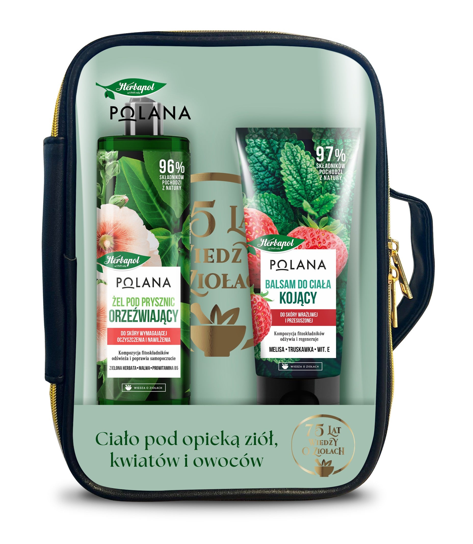 HERBAPOL Body set in a cosmetic bag (gel + lotion) | Vaistine1.lt | WestPharmacy.eu