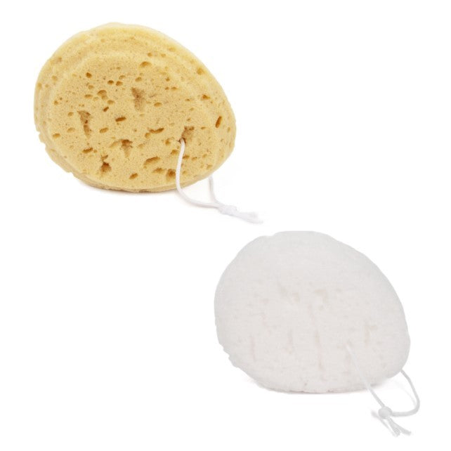 DONEGAL D/WASHING SPONGE oval (6009) | Vaistine1.lt | WestPharmacy.eu