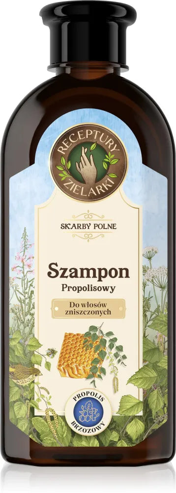 HERBAL RECIPES Field Treasures Beržo propolio šampūnas pažeistiems plaukams 350 ml - Kosmetika