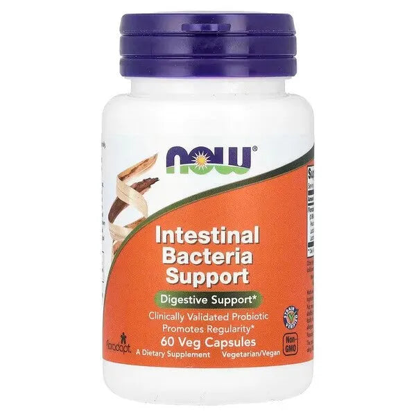 Intestinal Bacteria Support - 60 vcaps - NOW Foods - Papildai