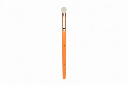 e5a8a43c69827d96fad7b2f419bfbf4c