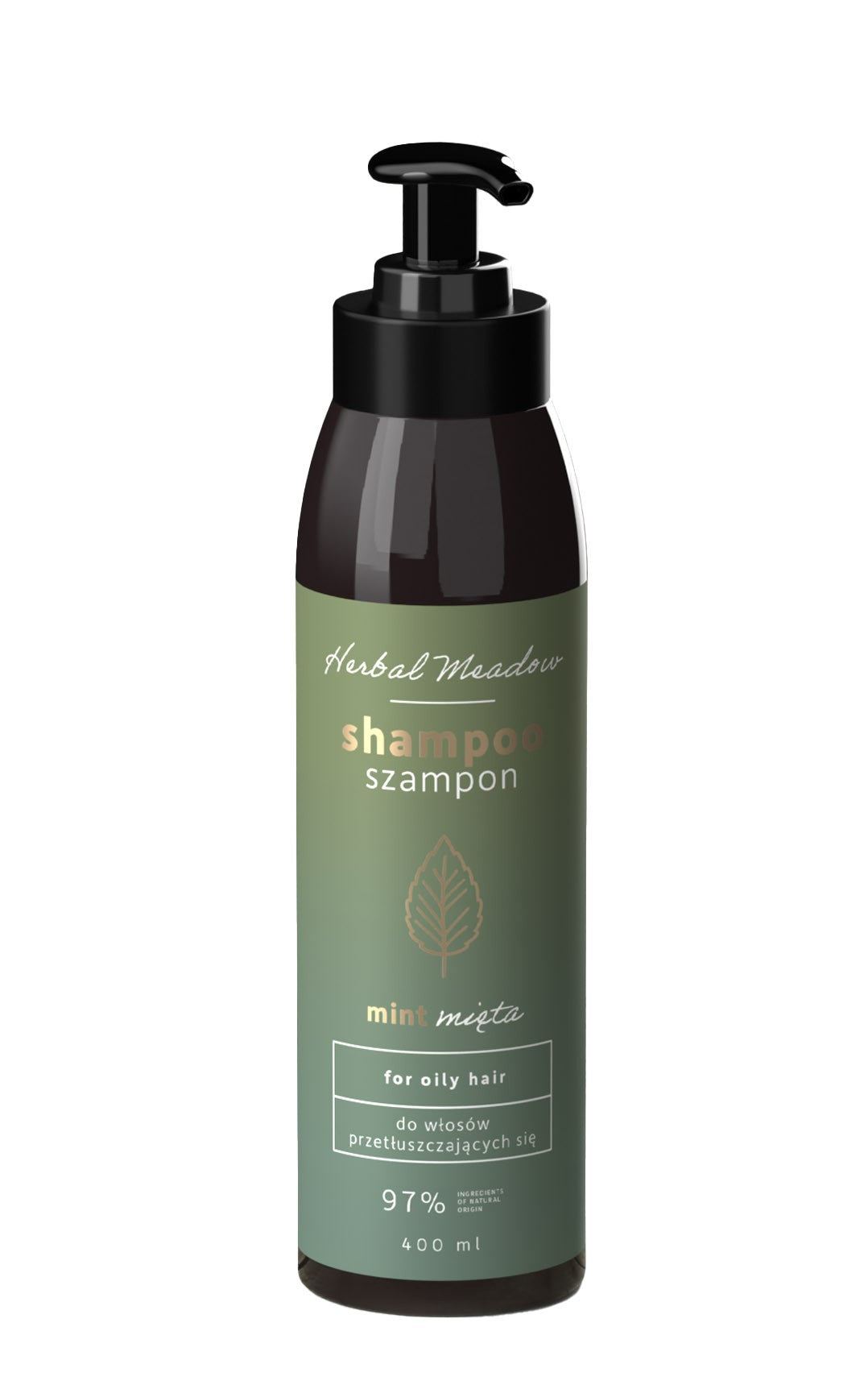 HISKIN Herbal Meadow Mint Shampoo - for oily hair 400 ml | Vaistine1.lt