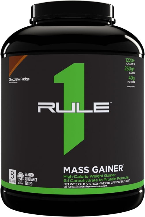 Mass Gainer, Chocolate Fudge - 2600g - Rule One