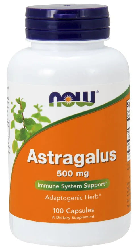 Astragalus 500mg - 100 caps - NOW Foods - Papildai