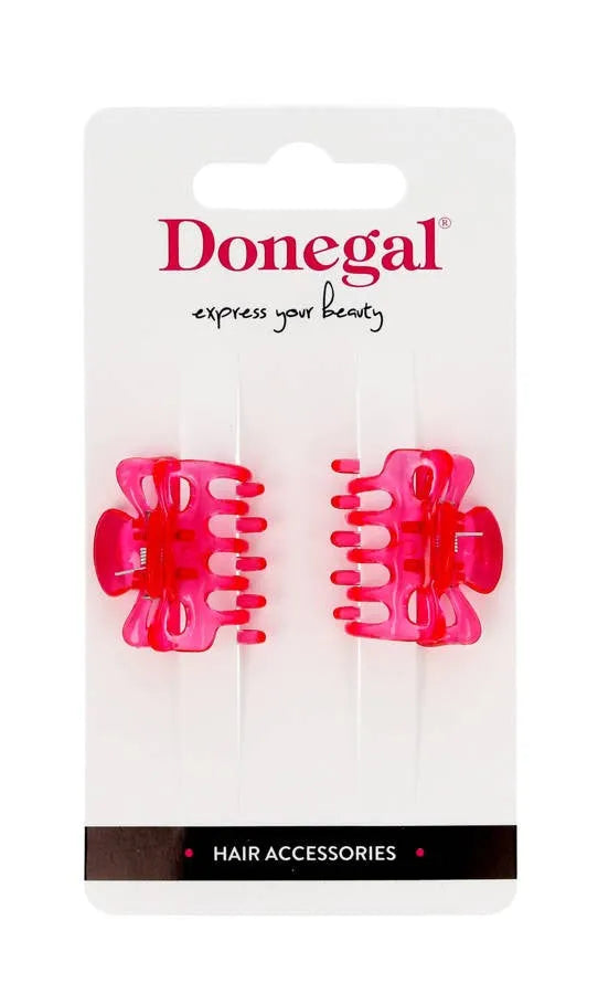 DONEGAL Plaukų dekoracijos - segtukai (FA-5666) - 1 pakuotė - 2 vnt - Kosmetika