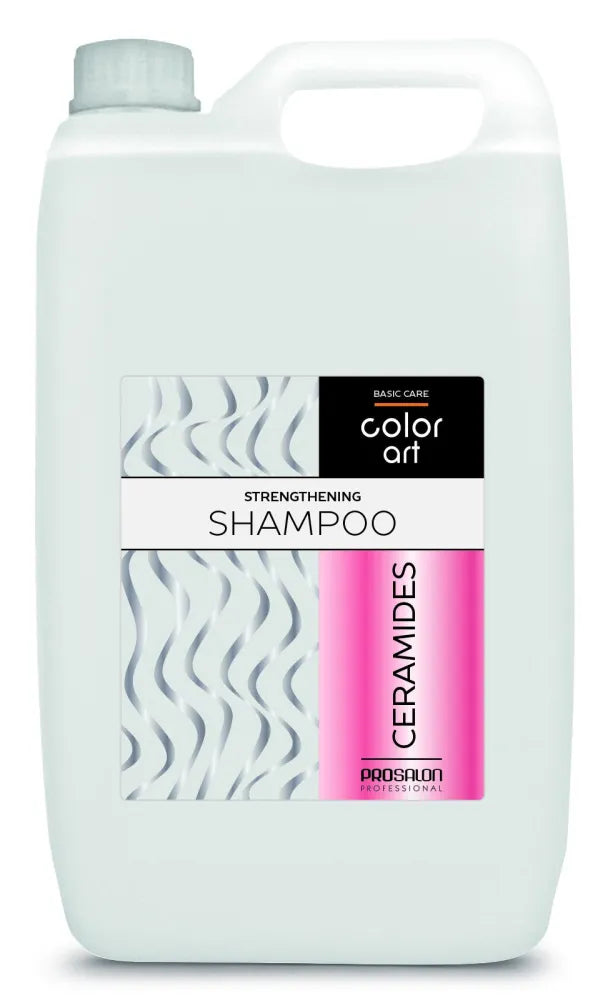 PROSALON PROFESSIONAL Basic Care Color Art Stiprinantis Plaukų Šampūnas - Ceramidai 5000ml - Kosmetika