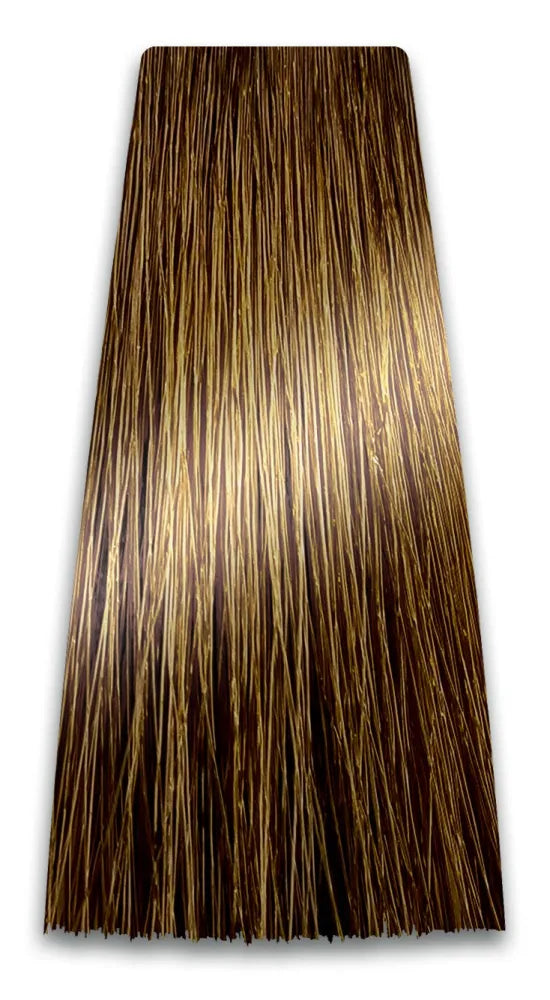 PROSALON PROFESSIONAL Intensis Color Art profesionali plaukų dažai Nr. 9.00 dvigubai šviesus šviesiaplaukis 100g