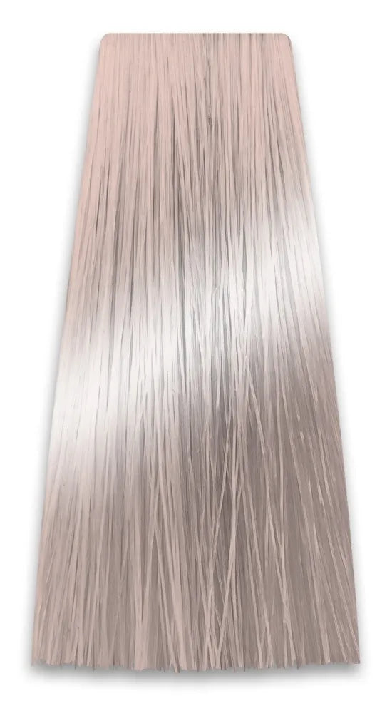 PROSALON PROFESSIONAL Intensis Color Art profesionali plaukų dažai Nr. 10.12 pelenų labai šviesiai bežiniai 100g