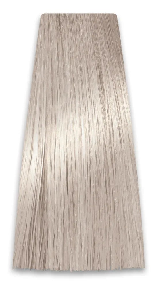 PROSALON PROFESSIONAL Intensis Color Art profesionali plaukų dažai Nr. 9.1 šviesiai pelenų blondinė 100g - Kosmetika