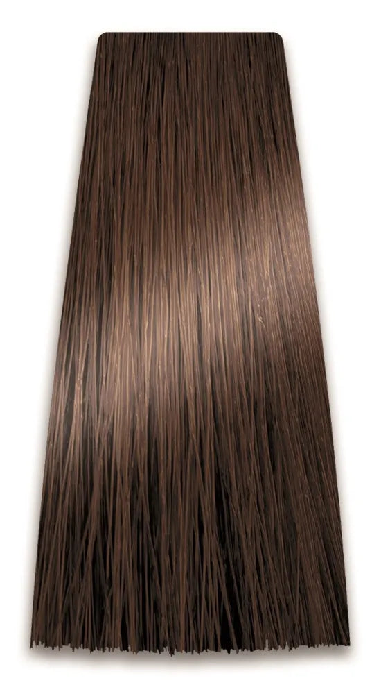 PROSALON PROFESSIONAL Intensis Color Art Profesionalus plaukų dažai Nr. 6.00 Dvigubas tamsus šviesus 100g - Kosmetika