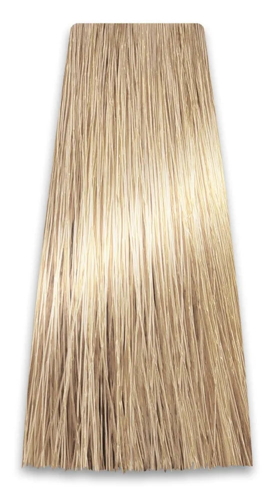 PROSALON PROFESSIONAL Intensis Color Art Profesionalus plaukų dažai Nr. 10.0 labai šviesiai blondinė 100g - Kosmetika