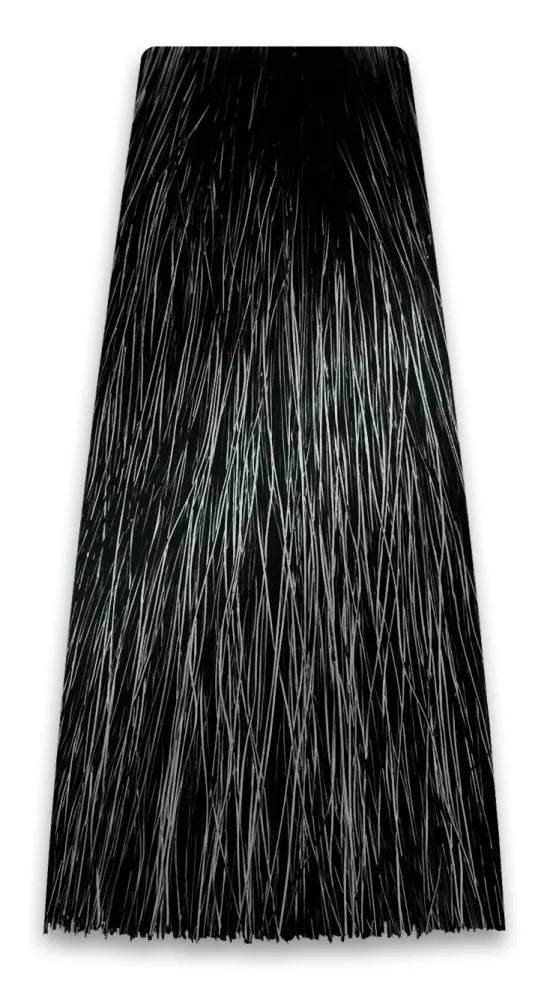PROSALON PROFESSIONAL Intensis Color Art Profesionalus plaukų dažai Nr. 1.0 juodas 100g - Kosmetika