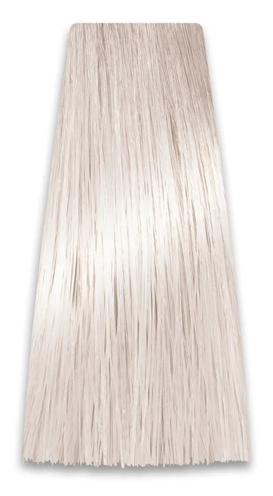 PROSALON PROFESSIONAL Intensis Color Art Profesionalus plaukų dažai Nr. 10.1 labai šviesus pelenų šviesiaplaukis 100g
