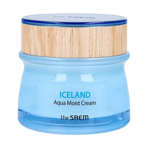 SAEM ICELAND AQUA Drėkinamasis kremas - Kosmetika